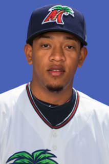 Yorman Landa