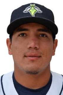 Luis Ortega