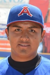 Luis Zamora