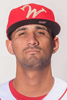 Luis Cedeno
