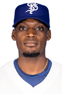 Robinson Leyer