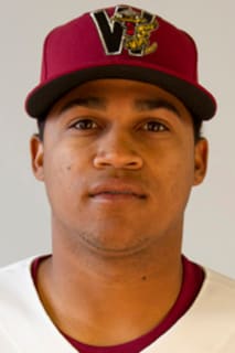 Luis Ortega