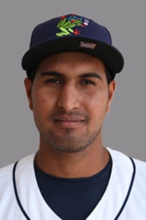 Michael Suarez