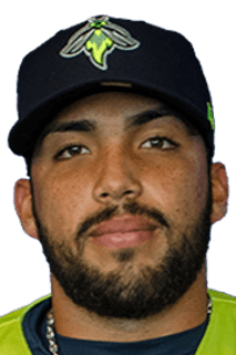 Carlos Sanchez