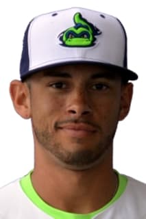Dominique Vattuone