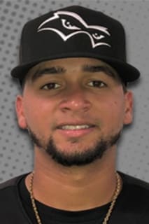 Hansel Paulino