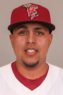 Luis Amaya