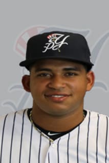 Nelson B Alvarez