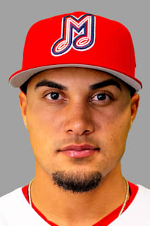 Bryan Torres