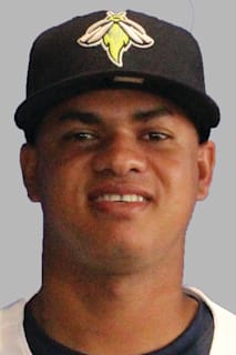 Delvin Capellan