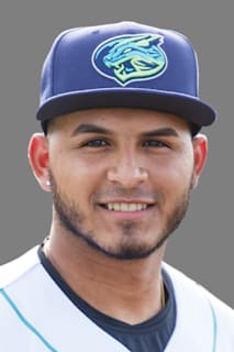 Andres Melendez