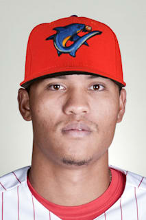 Maikel Garrido