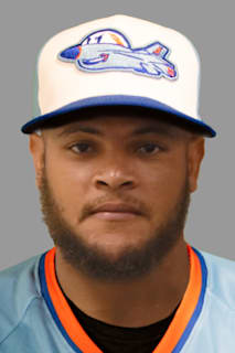 Wilkin Grullon