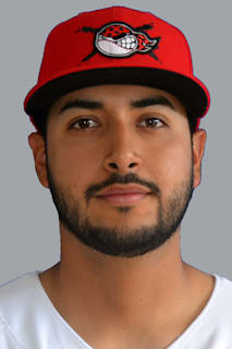 Luis Perez Elizondo