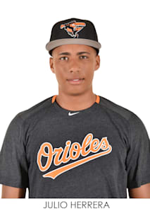 Julio Herrera