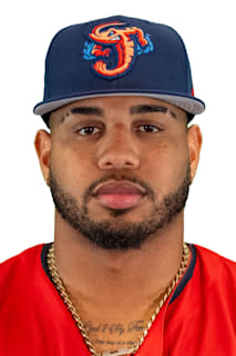 Deyvison De Los Santos