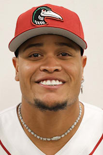 Wilman Diaz