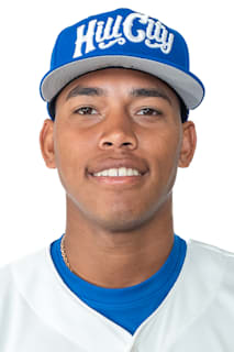 Yaikel Mijares