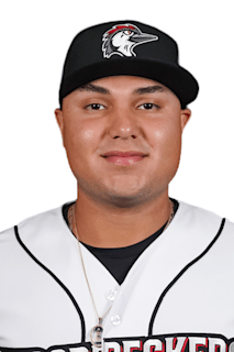Javier Perez