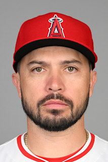 Travis d'Arnaud - Wikipedia