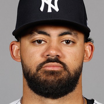 Jasson Dominguez