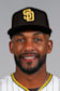 Miguel Andujar