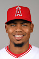 Miguel Almonte