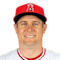 Tyler Heineman