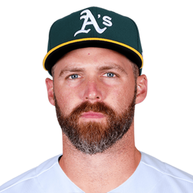 Matt Davidson 사진