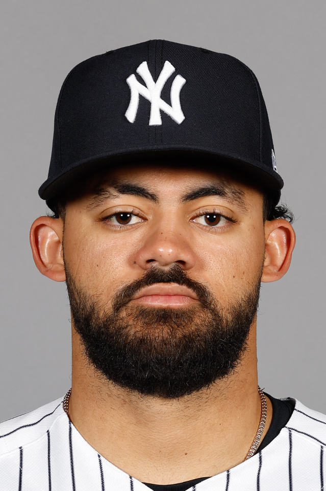 Jasson Dominguez