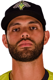 Wuilmer Becerra Stats Fantasy News Milb Com