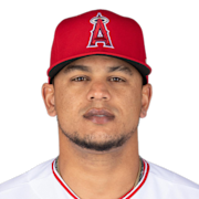 Juan Lagares headshot