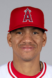 Ehire Adrianza headshot