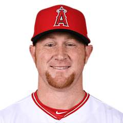 Kole Calhoun in 2017