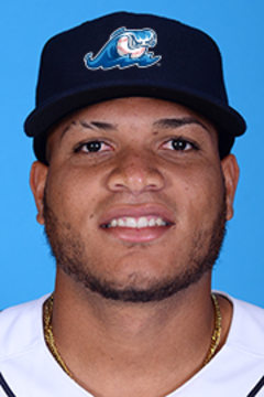 Elvis Rubio
