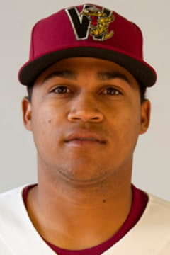 Luis Ortega