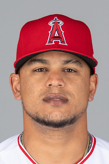 Juan Lagares headshot