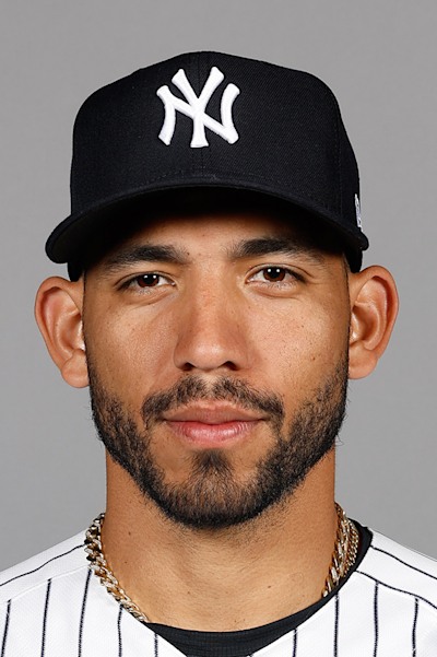 Official MLB headshot of José Caballero