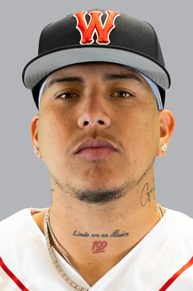 Bryan Mata Stats, Fantasy & News