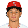 Joel Hurtado