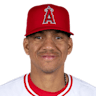 Ehire Adrianza