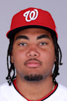 Official MLB headshot of James Wood