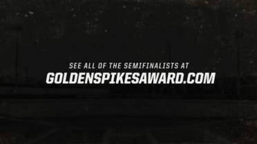2019 Golden Spikes Award