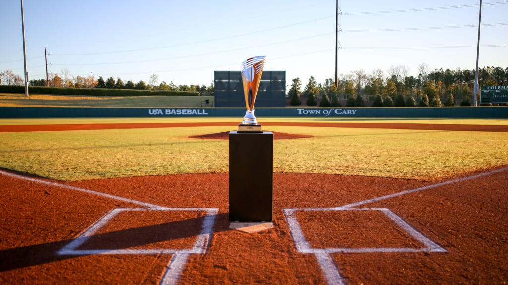 USA Baseball Announces 2026 NHSI Bracket