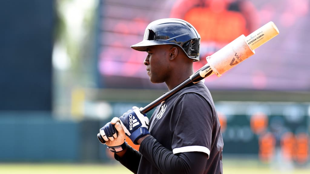 Top Yankees prospects on the horizon for 2021