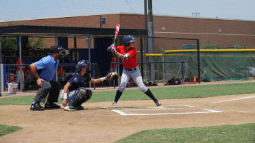 Usa Baseball Announces 19 Women S National Team Roster Usa Baseball