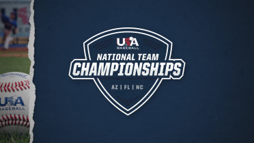 Champs_Update
