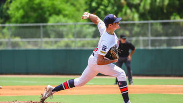 Baseball Sweeps Away Alabama with 4-0 Shutout