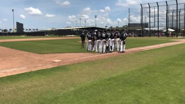 Knights honor 20 years with White Sox with awesome unis