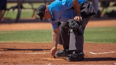 Two local umpires look ahead to summer assignments, grind for